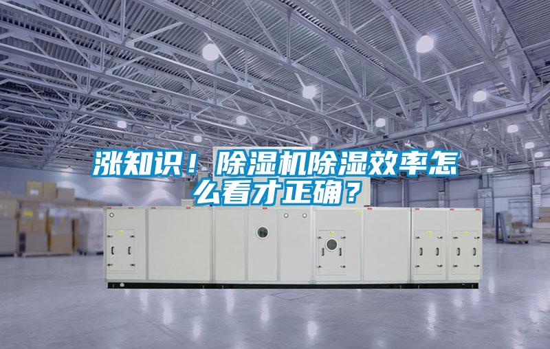 漲知識！除濕機除濕效率怎么看才正確？