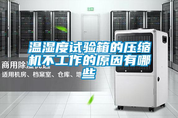 溫濕度試驗箱的壓縮機(jī)不工作的原因有哪些