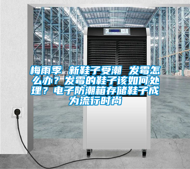 梅雨季 新鞋子受潮 發(fā)霉怎么辦？發(fā)霉的鞋子該如何處理？電子防潮箱存儲(chǔ)鞋子成為流行時(shí)尚