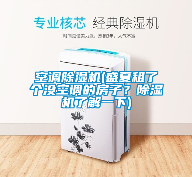 空調(diào)除濕機(jī)(盛夏租了個沒空調(diào)的房子？除濕機(jī)了解一下)