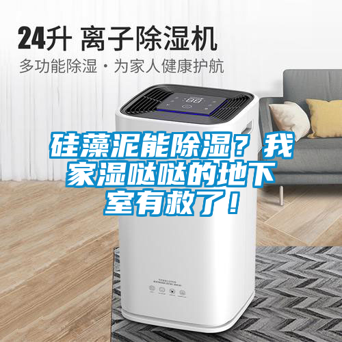 硅藻泥能除濕？我家濕噠噠的地下室有救了！
