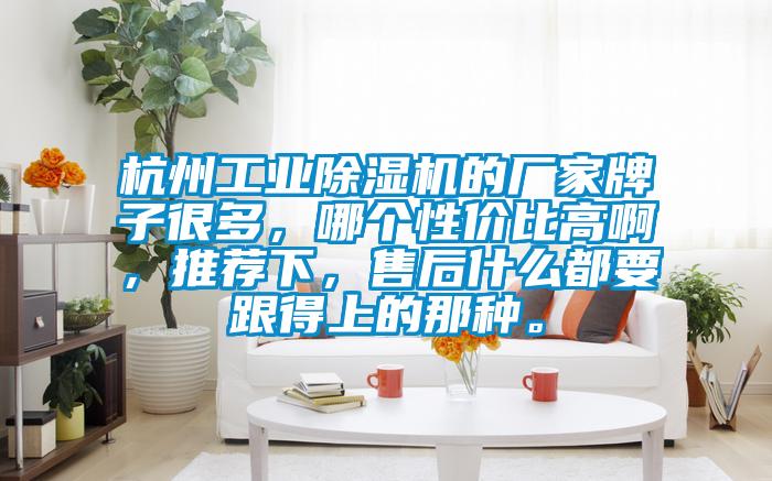 杭州工業(yè)除濕機(jī)的廠家牌子很多，哪個性價比高啊，推薦下，售后什么都要跟得上的那種。