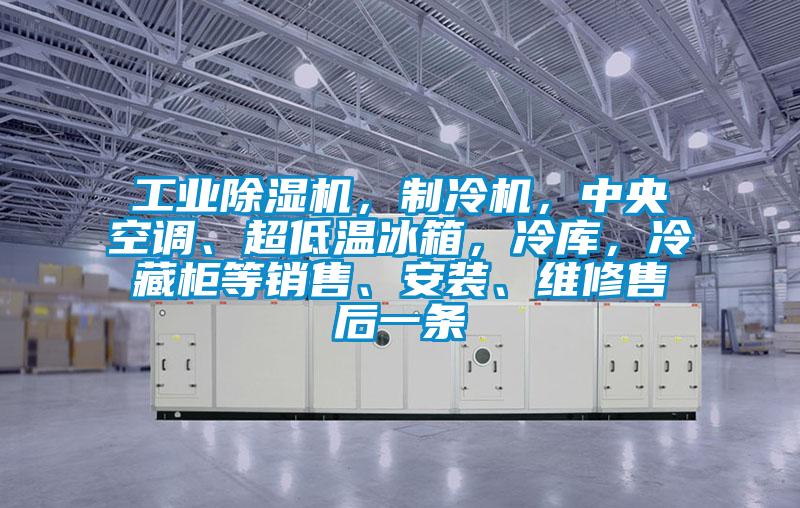 工業(yè)除濕機，制冷機，中央空調(diào)、超低溫冰箱，冷庫，冷藏柜等銷售、安裝、維修售后一條