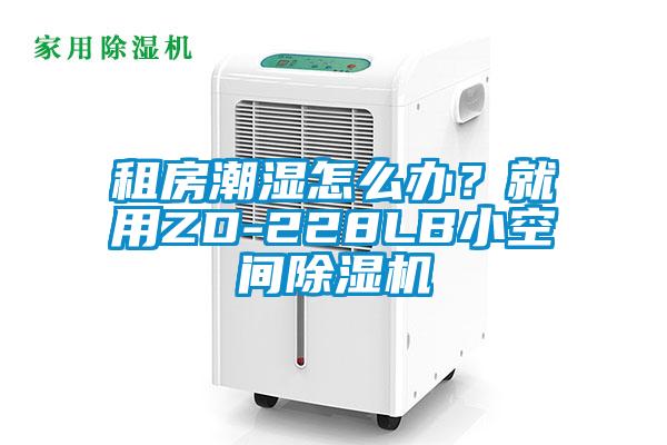 租房潮濕怎么辦？就用ZD-228LB小空間除濕機