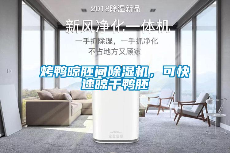 烤鴨晾胚間除濕機，可快速晾干鴨胚
