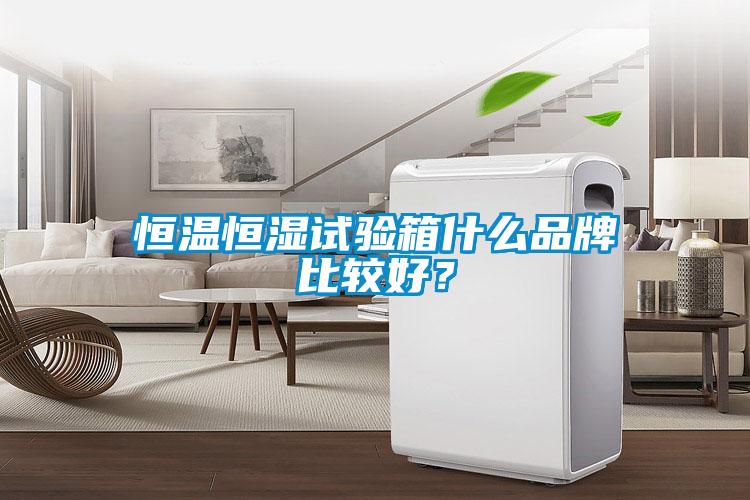 恒溫恒濕試驗箱什么品牌比較好？