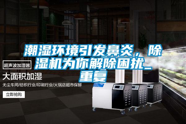 潮濕環(huán)境引發(fā)鼻炎，除濕機(jī)為你解除困擾_重復(fù)