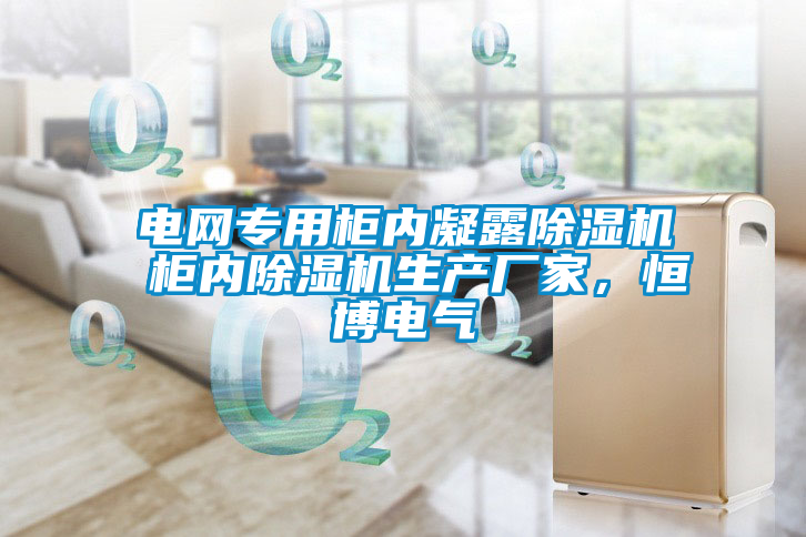 電網(wǎng)專用柜內(nèi)凝露除濕機(jī) 柜內(nèi)除濕機(jī)生產(chǎn)廠家，恒博電氣