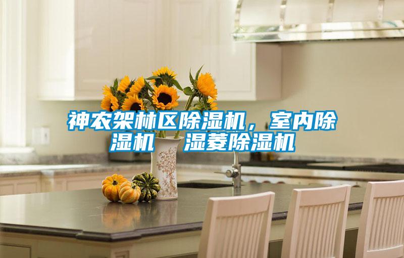 神農(nóng)架林區(qū)除濕機，室內除濕機  濕菱除濕機