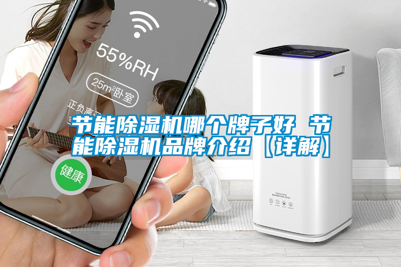 節(jié)能除濕機(jī)哪個牌子好 節(jié)能除濕機(jī)品牌介紹【詳解】