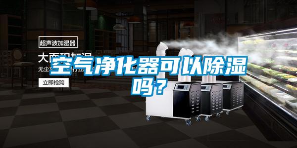 空氣凈化器可以除濕嗎？