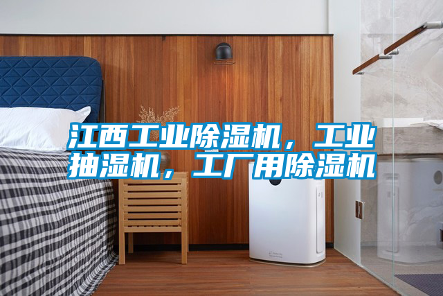 江西工業(yè)除濕機(jī)，工業(yè)抽濕機(jī)，工廠用除濕機(jī)