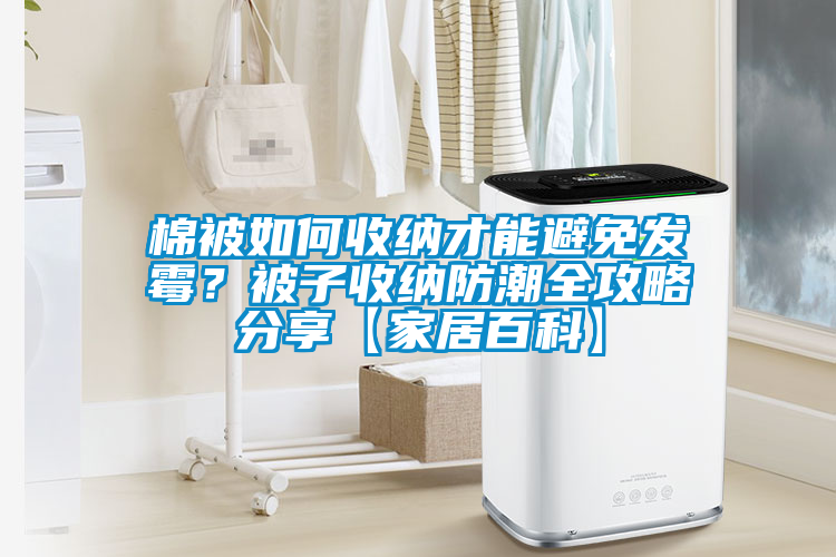 棉被如何收納才能避免發(fā)霉？被子收納防潮全攻略分享【家居百科】
