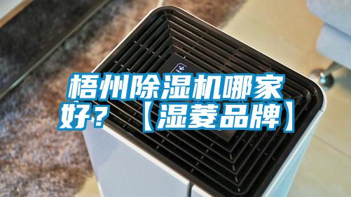 梧州除濕機哪家好？【濕菱品牌】
