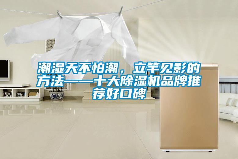 潮濕天不怕潮，立竿見影的方法——十大除濕機(jī)品牌推薦好口碑