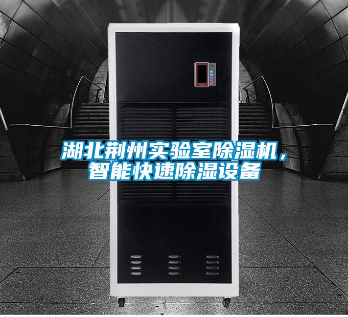 湖北荊州實(shí)驗(yàn)室除濕機(jī)，智能快速除濕設(shè)備