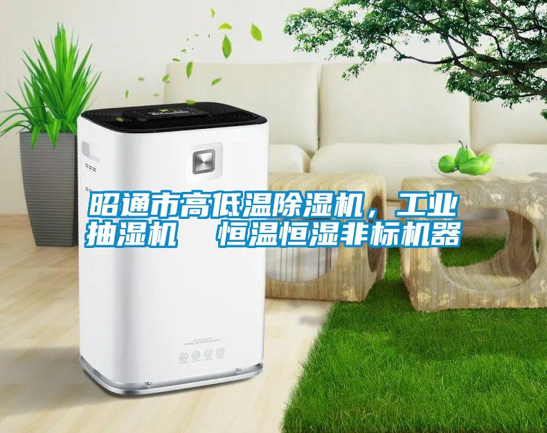 昭通市高低溫除濕機(jī)，工業(yè)抽濕機(jī)  恒溫恒濕非標(biāo)機(jī)器