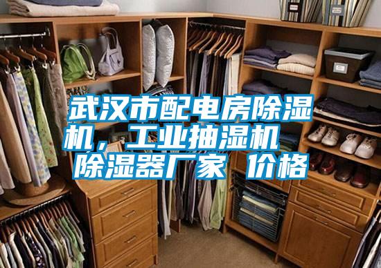 武漢市配電房除濕機(jī)，工業(yè)抽濕機(jī)  除濕器廠家 價(jià)格