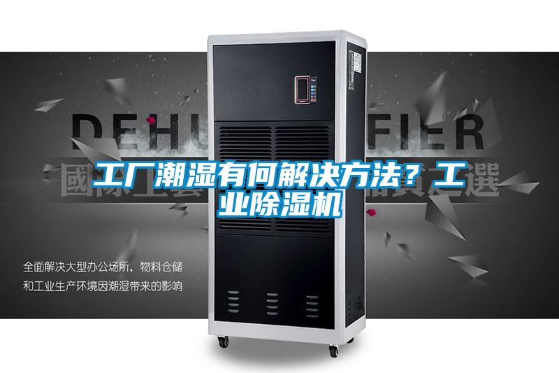 工廠潮濕有何解決方法？工業(yè)除濕機(jī)