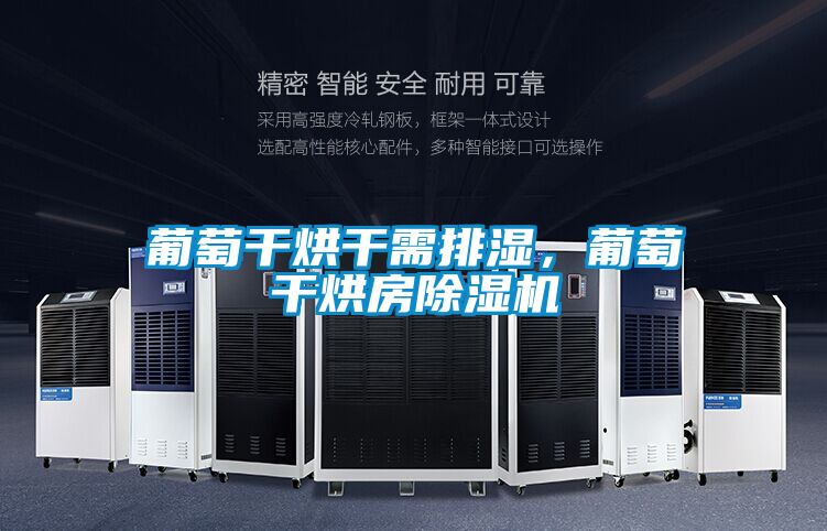 葡萄干烘干需排濕，葡萄干烘房除濕機