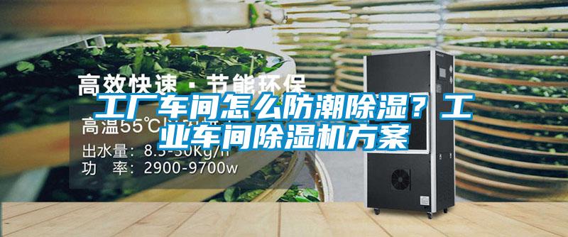 工廠車(chē)間怎么防潮除濕？工業(yè)車(chē)間除濕機(jī)方案