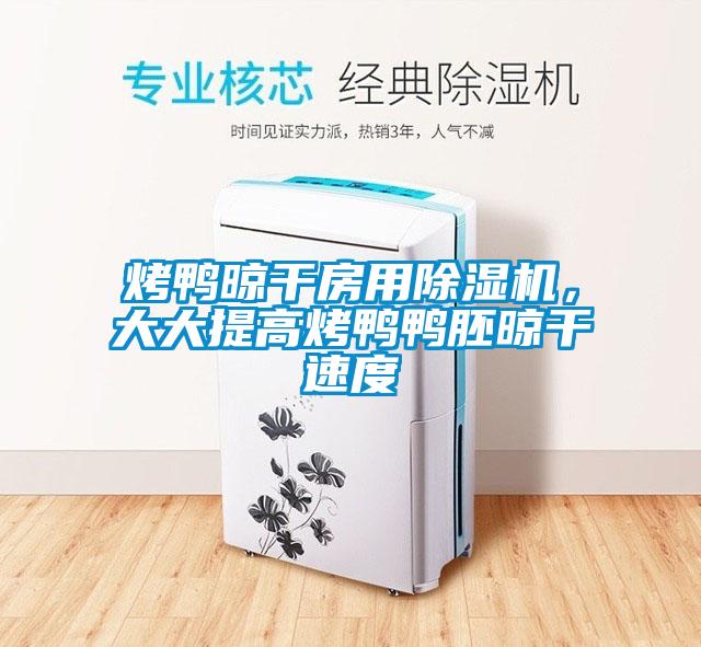 烤鴨晾干房用除濕機，大大提高烤鴨鴨胚晾干速度