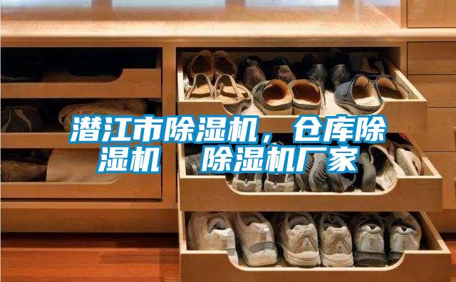 潛江市除濕機(jī)，倉(cāng)庫(kù)除濕機(jī)  除濕機(jī)廠家