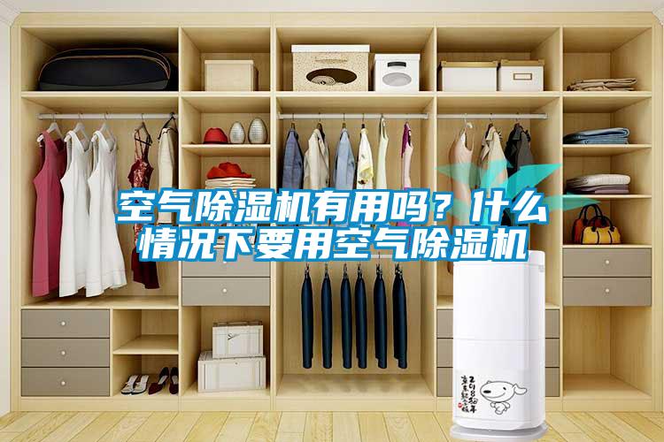 空氣除濕機(jī)有用嗎？什么情況下要用空氣除濕機(jī)