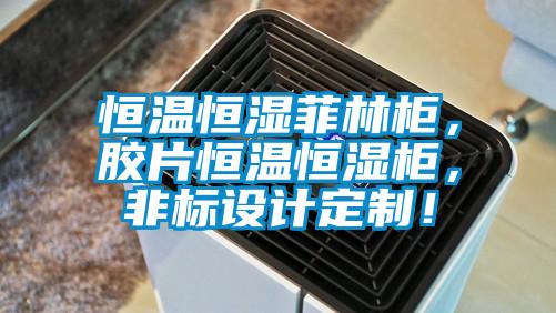 恒溫恒濕菲林柜，膠片恒溫恒濕柜，非標設(shè)計定制！