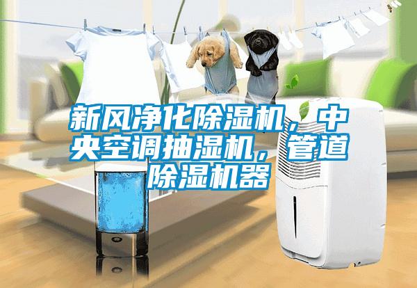 新風(fēng)凈化除濕機(jī)，中央空調(diào)抽濕機(jī)，管道除濕機(jī)器