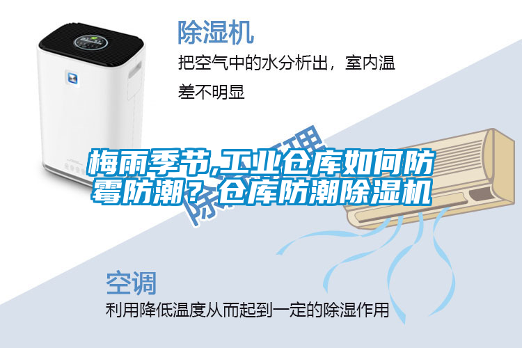梅雨季節(jié),工業(yè)倉(cāng)庫(kù)如何防霉防潮？倉(cāng)庫(kù)防潮除濕機(jī)