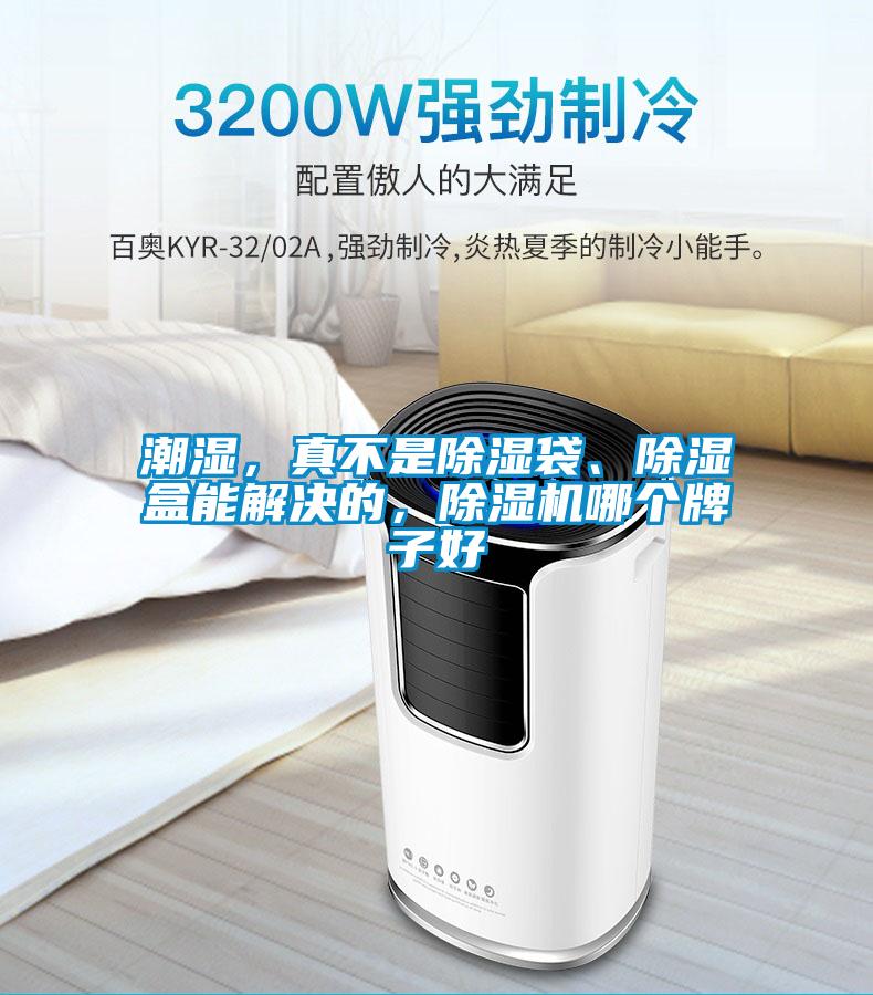 潮濕，真不是除濕袋、除濕盒能解決的，除濕機(jī)哪個(gè)牌子好