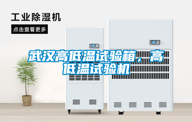 武漢高低溫試驗箱，高低溫試驗機