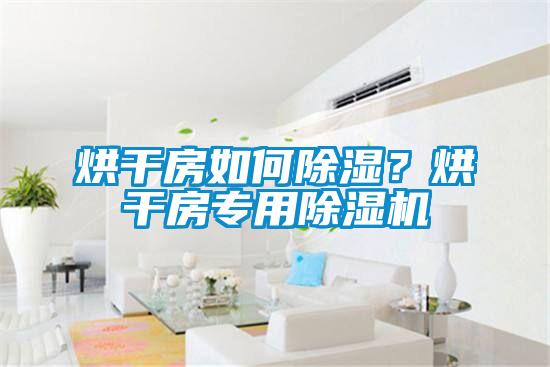 烘干房如何除濕？烘干房專用除濕機