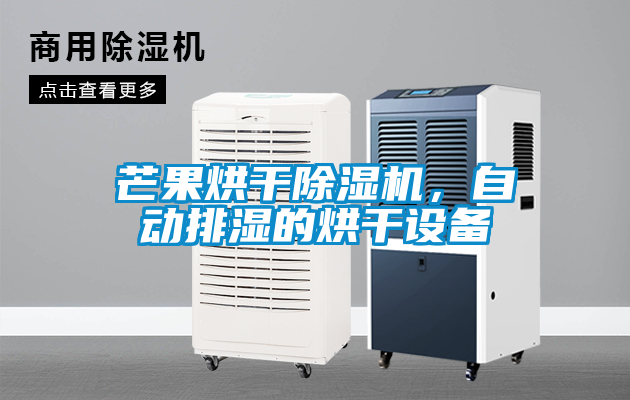芒果烘干除濕機，自動排濕的烘干設(shè)備