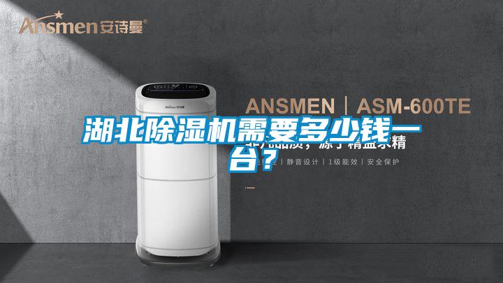 湖北除濕機(jī)需要多少錢一臺(tái)？