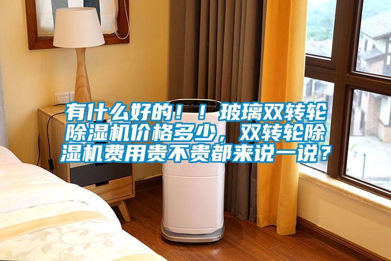 有什么好的?。〔Ａщp轉(zhuǎn)輪除濕機(jī)價(jià)格多少，雙轉(zhuǎn)輪除濕機(jī)費(fèi)用貴不貴都來說一說？