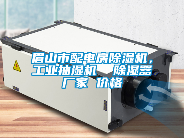 眉山市配電房除濕機，工業(yè)抽濕機  除濕器廠家 價格