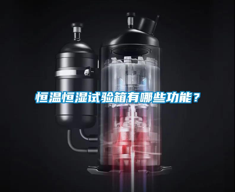 恒溫恒濕試驗(yàn)箱有哪些功能？