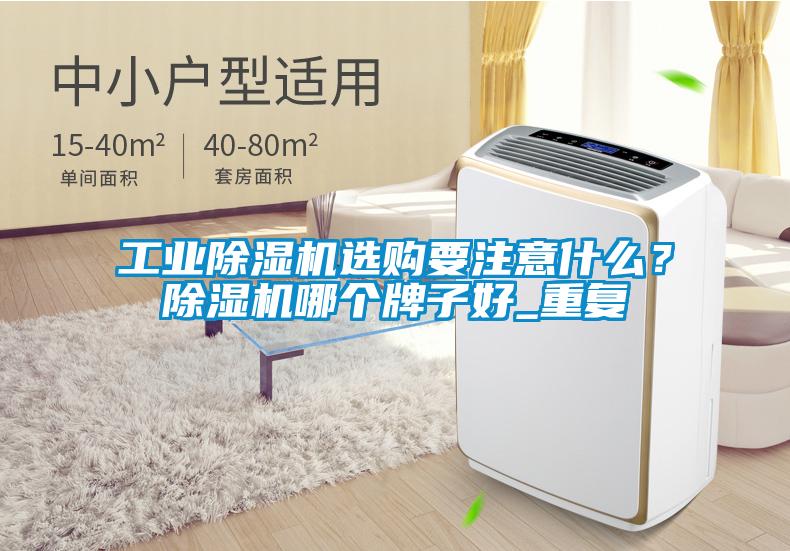 工業(yè)除濕機選購要注意什么？除濕機哪個牌子好_重復