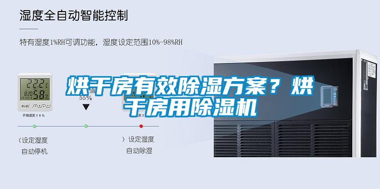 烘干房有效除濕方案？烘干房用除濕機(jī)