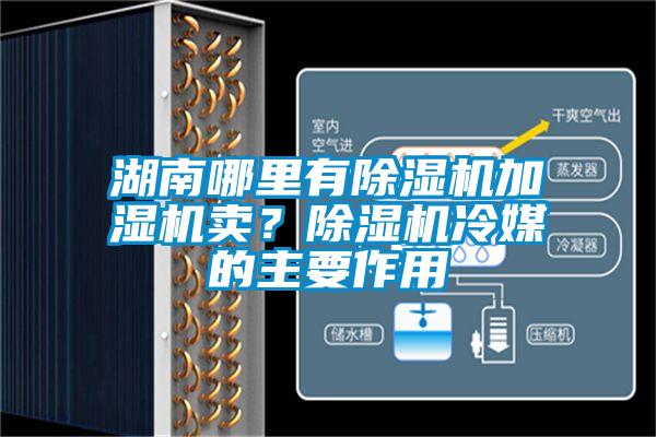 湖南哪里有除濕機(jī)加濕機(jī)賣(mài)？除濕機(jī)冷媒的主要作用