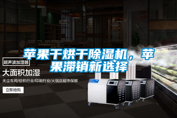 蘋果干烘干除濕機(jī)，蘋果滯銷新選擇