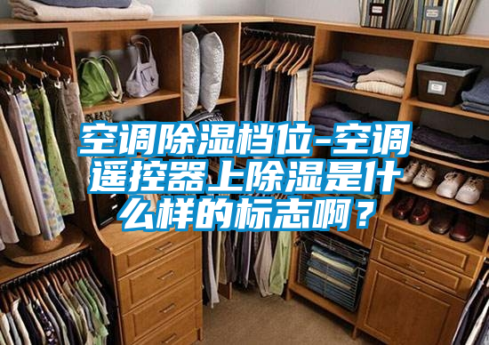 空調(diào)除濕檔位-空調(diào)遙控器上除濕是什么樣的標志??？