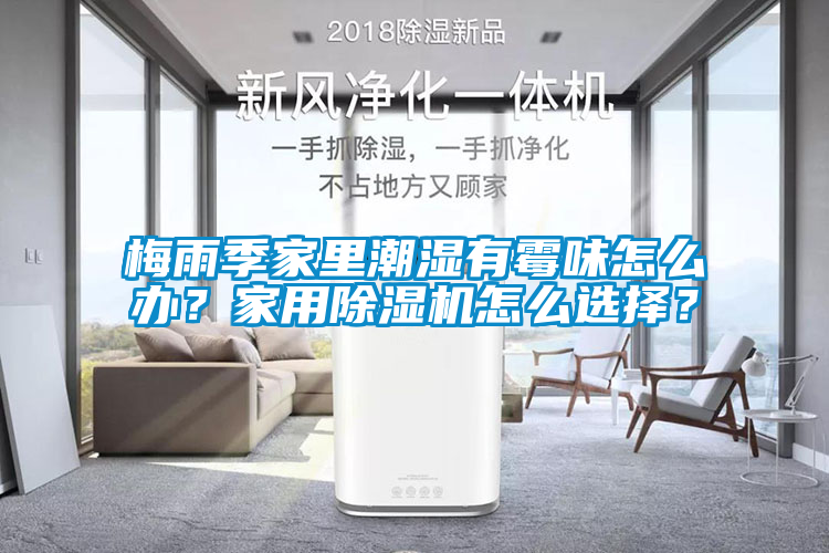 梅雨季家里潮濕有霉味怎么辦？家用除濕機怎么選擇？