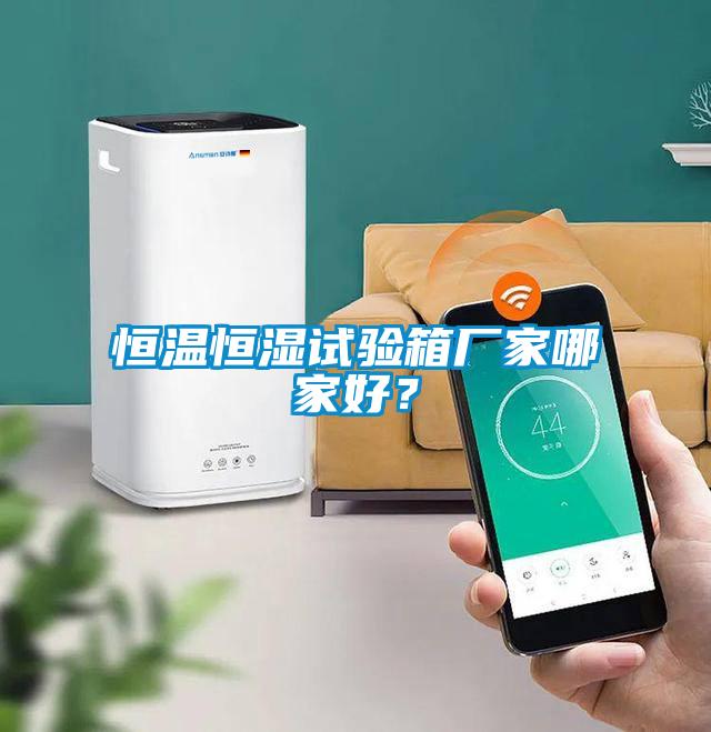 恒溫恒濕試驗(yàn)箱廠家哪家好？