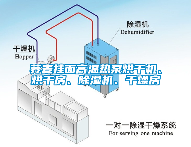 蕎麥掛面高溫?zé)岜煤娓蓹C、烘干房、除濕機、干燥房
