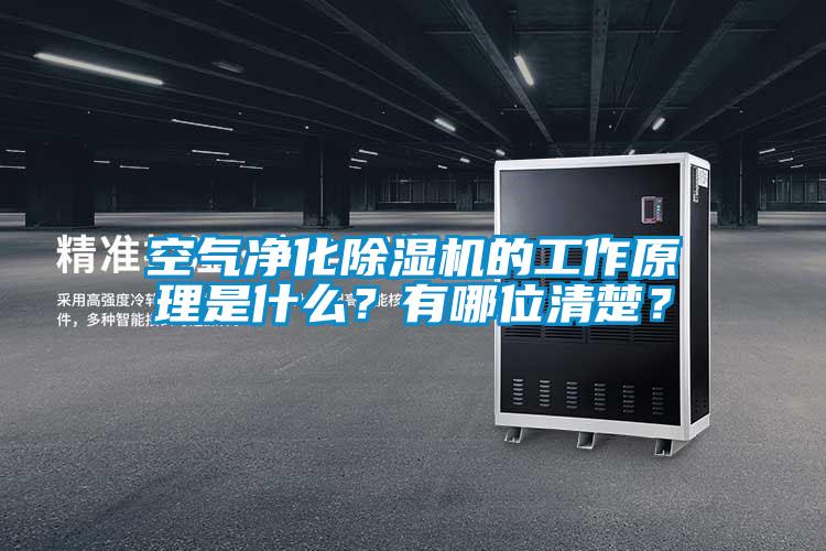 空氣凈化除濕機的工作原理是什么？有哪位清楚？
