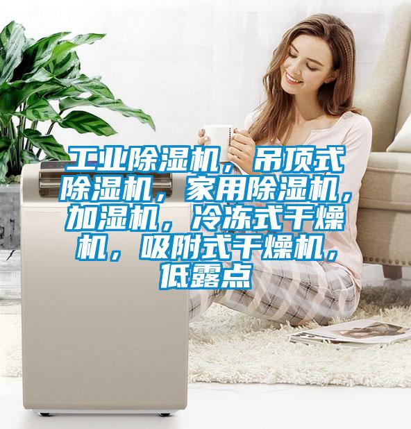 工業(yè)除濕機，吊頂式除濕機，家用除濕機，加濕機，冷凍式干燥機，吸附式干燥機，低露點