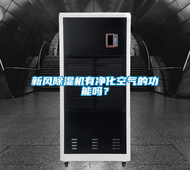 新風(fēng)除濕機有凈化空氣的功能嗎？